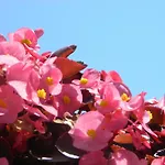 아파트 Brunor *