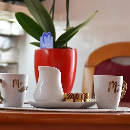 Brunor 杜布罗夫尼克